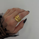 ANILLO NUA